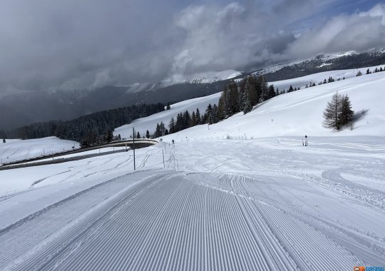 Pista Rolle 1: relax, tranquillità e neve a Passo Rolle in Trentino